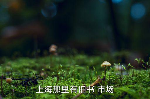 上海那里有旧书 市场