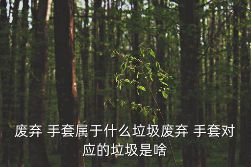 废弃 手套属于什么垃圾废弃 手套对应的垃圾是啥