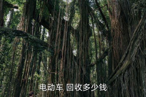 电动车 回收多少钱