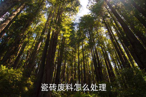 废旧瓷砖回收,废料瓷砖分三阶段粉碎制作成质量更好瓷砖泥