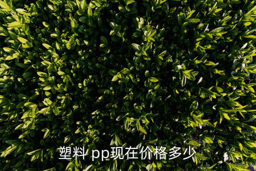 塑料 pp现在价格多少