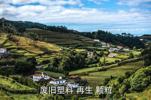  废旧塑料 再生 颗粒