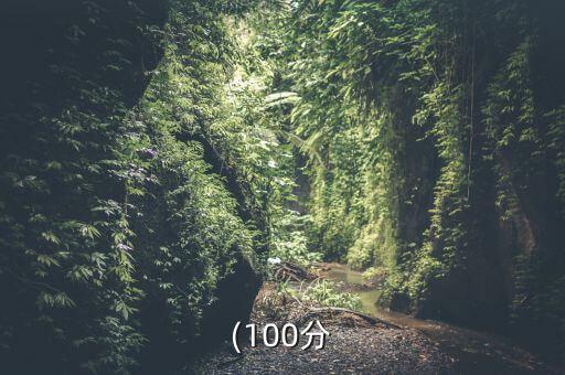 (100分