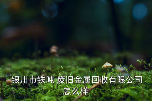 宁夏银川市的废旧钢铁价格