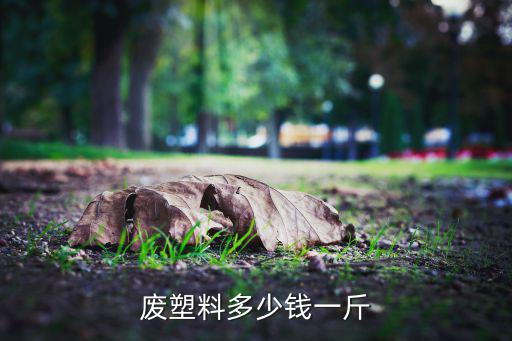 废塑料多少钱一斤