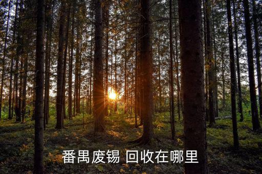 番禺废锡 回收在哪里