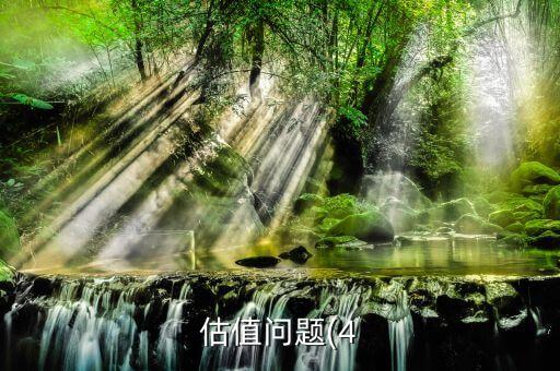 估值问题(4