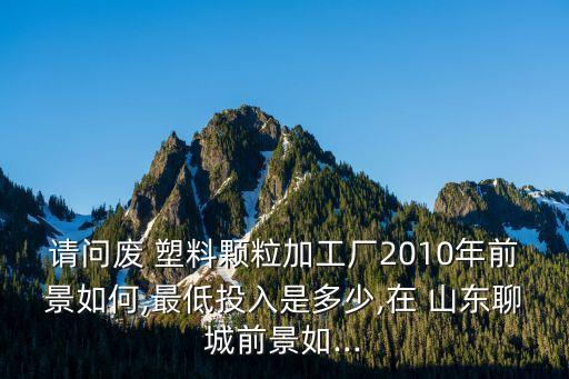 请问废 塑料颗粒加工厂2010年前景如何,最低投入是多少,在 山东聊城前景如...