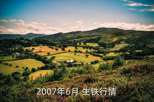 2007年6月 生铁行情
