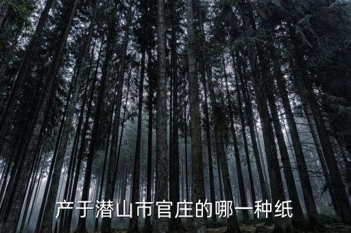产于潜山市官庄的哪一种纸
