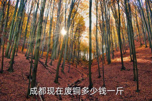  成都现在废铜多少钱一斤