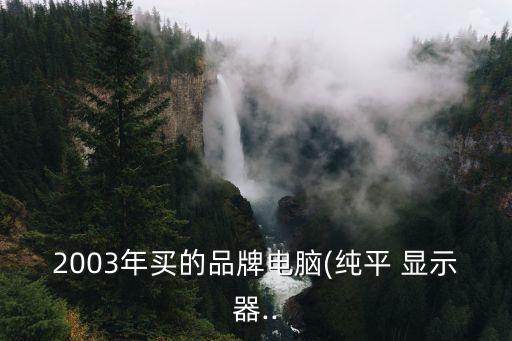 2003年买的品牌电脑(纯平 显示器..