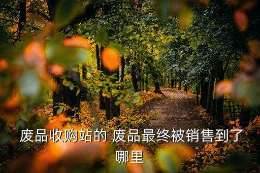  废品收购站的 废品最终被销售到了哪里