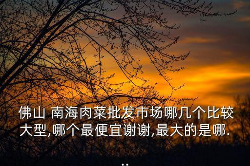  佛山 南海肉菜批发市场哪几个比较大型,哪个最便宜谢谢,最大的是哪...