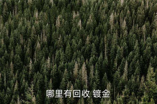 哪里有回收 镀金