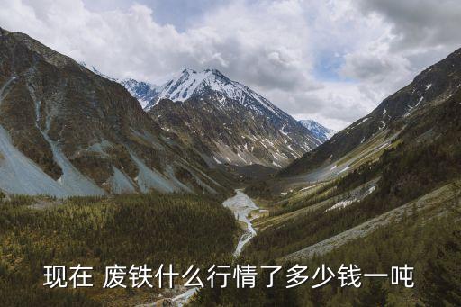现在 废铁什么行情了多少钱一吨