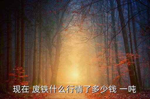 现在 废铁什么行情了多少钱 一吨