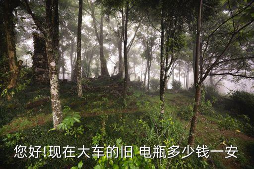 您好!现在大车的旧 电瓶多少钱一安