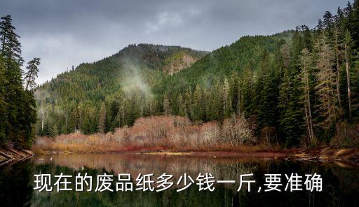 现在的废品纸多少钱一斤,要准确