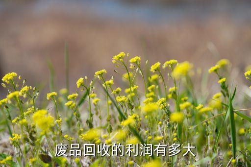 废品回收的利润有多大