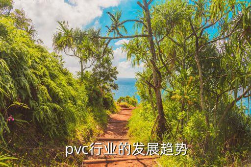  pvc行业的发展趋势