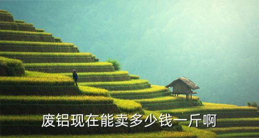废铝现在能卖多少钱一斤啊