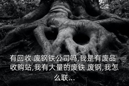 有回收 废钢铁公司吗,我是有废品 收购站,我有大量的废铁 废钢,我怎么联...