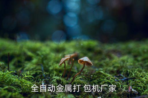 全自动金属打 包机厂家