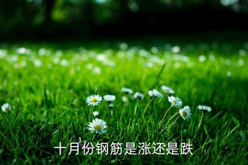 十月份钢筋是涨还是跌