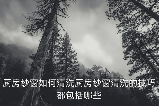 厨房纱窗如何清洗厨房纱窗清洗的技巧都包括哪些