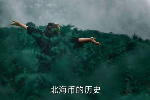  北海币的历史
