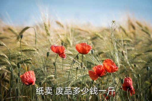 纸卖 废品多少钱一斤