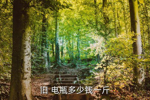 旧 电瓶多少钱一斤