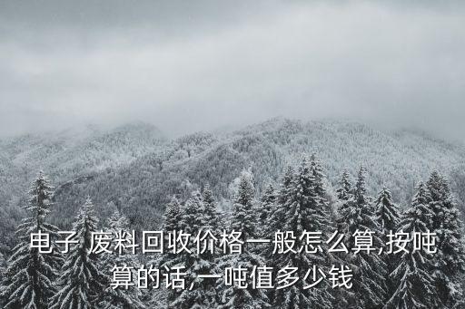 电子 废料回收价格一般怎么算,按吨算的话,一吨值多少钱