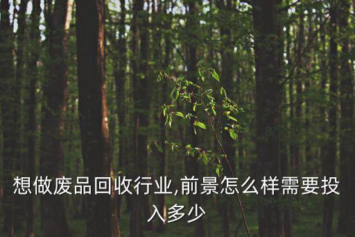 想做废品回收行业,前景怎么样需要投入多少