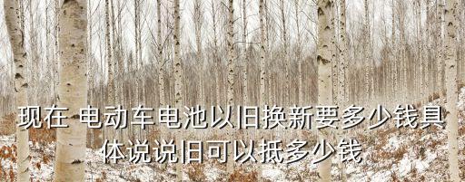 现在 电动车电池以旧换新要多少钱具体说说旧可以抵多少钱