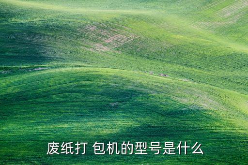  废纸打 包机的型号是什么