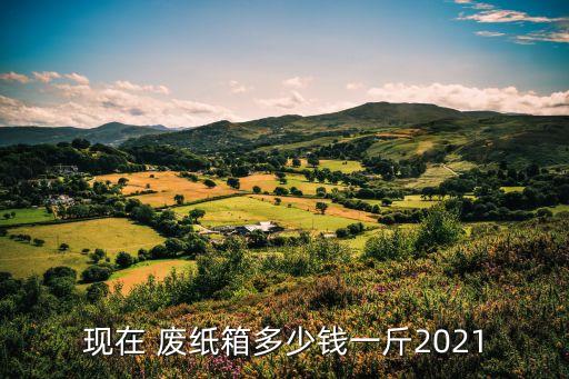 现在 废纸箱多少钱一斤2021