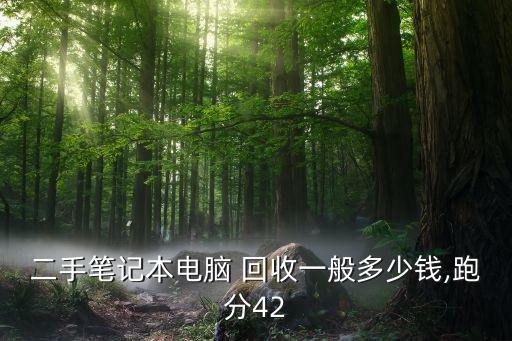 二手笔记本电脑 回收一般多少钱,跑分42