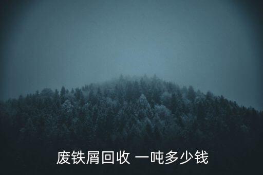  废铁屑回收 一吨多少钱