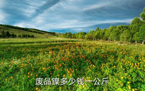 废品镍多少钱一公斤