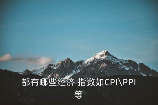 都有哪些经济 指数如CPI\PPI等