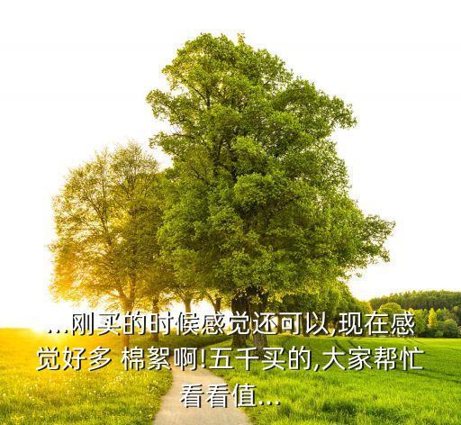 棉絮价格,棉絮翡翠的价格