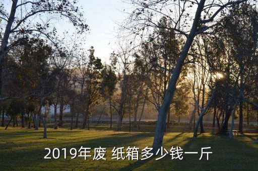 2019年废 纸箱多少钱一斤