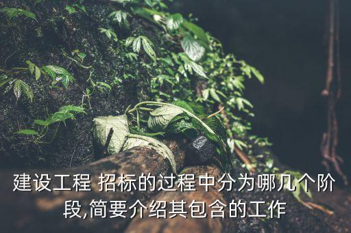 建设工程 招标的过程中分为哪几个阶段,简要介绍其包含的工作