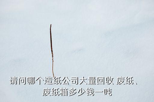 请问哪个造纸公司大量回收 废纸、 废纸箱多少钱一吨