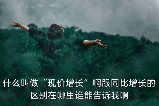什么叫做“现价增长”啊跟同比增长的区别在哪里谁能告诉我啊
