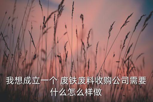我想成立一个 废铁废料收购公司需要什么怎么样做