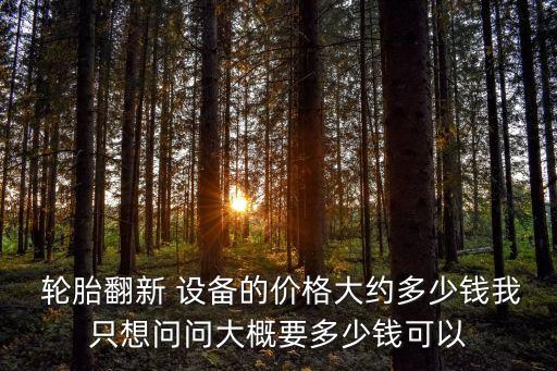  轮胎翻新 设备的价格大约多少钱我只想问问大概要多少钱可以