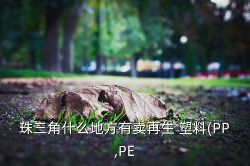 珠三角什么地方有卖再生 塑料(PP,PE
